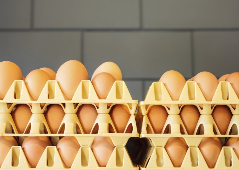 Kako prepoznati domaća i svježa jaja?