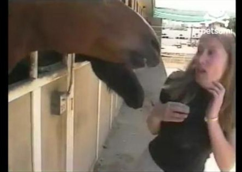 Evo kako se ponaša konj koji ne želi pred kamere