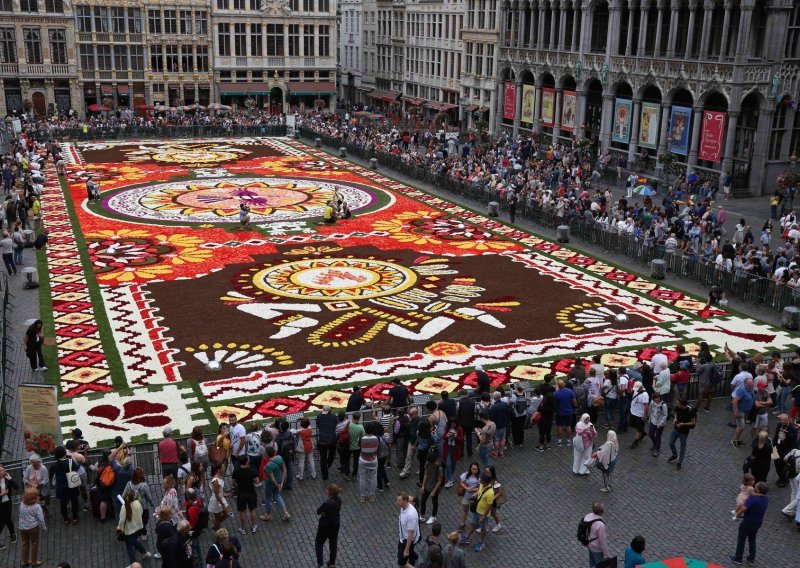 Europska prijestolnica zablistala u novom ruhu: Čak pola milijuna cvjetova tvori ovaj impresivni tepih