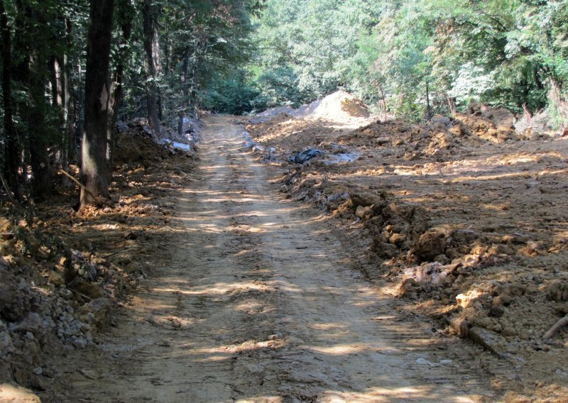 Hrvatske šume ove godine raspodjeljuju 2,2 milijuna kubičnih metara trupaca