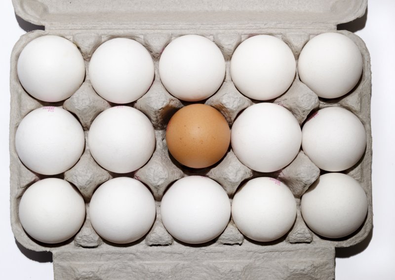 Koja je razlika između bijelih i smeđih jaja?