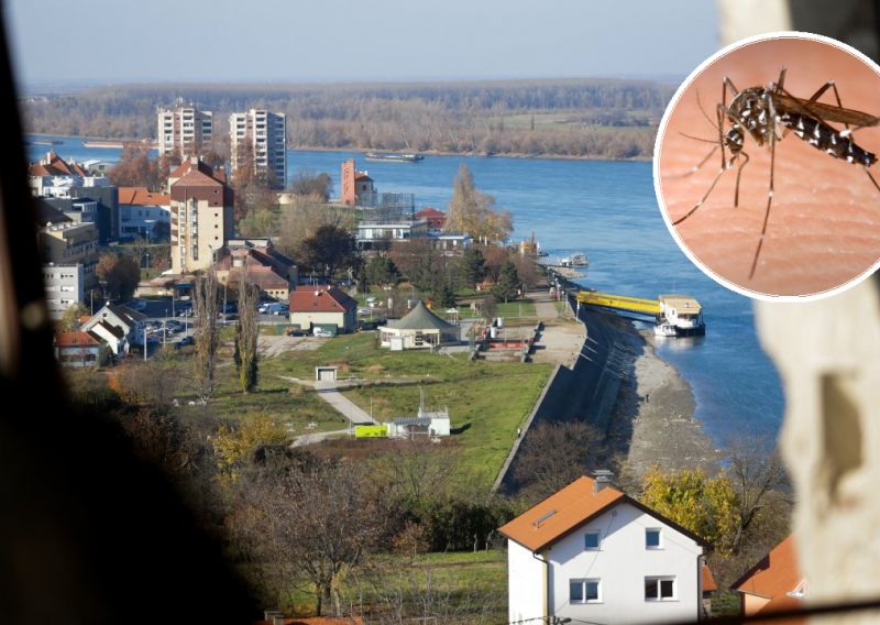 Virusom Zapadnog Nila zaražena 6-godišnjakinja iz Vukovara