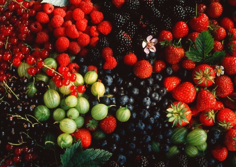 Proizvođačke cijene poljoprivrednih proizvoda pale za 6 posto, voće petinu jeftinije
