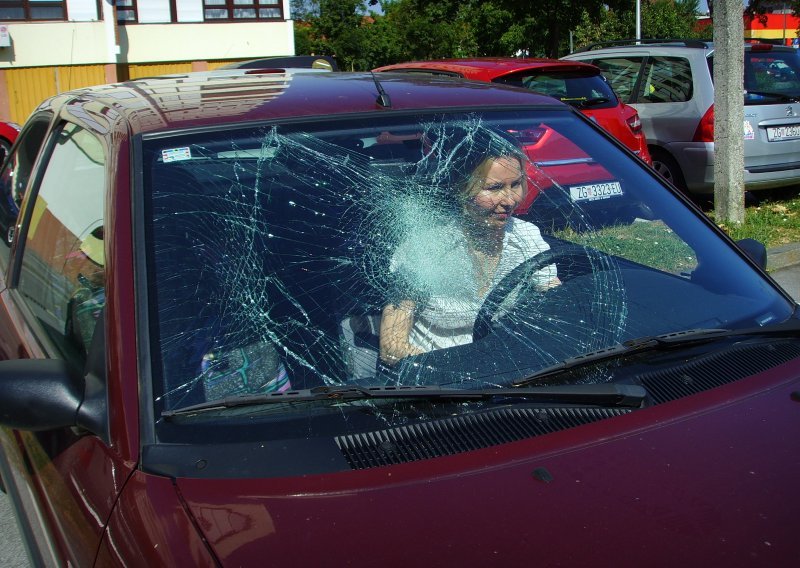 Jezikoslovki Snježani Kordić pred stanom razbijen auto