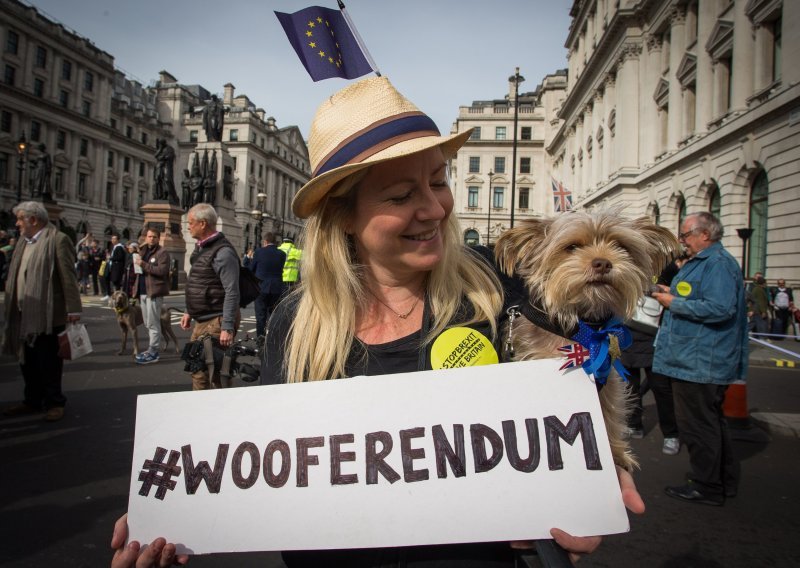 Vauferendum: Ljudi i psi zajedno protiv brexita
