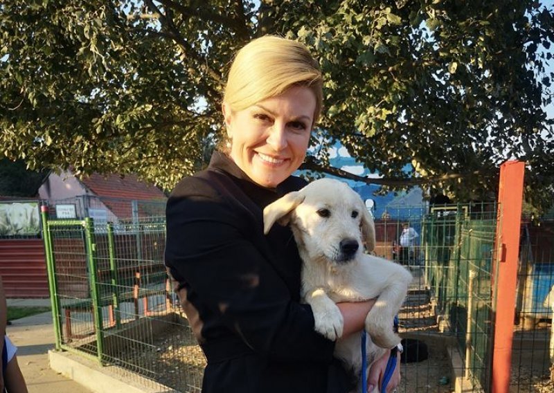 Predsjednica udomila psa iz azila u Virovitici: Kika seli na Pantovčak