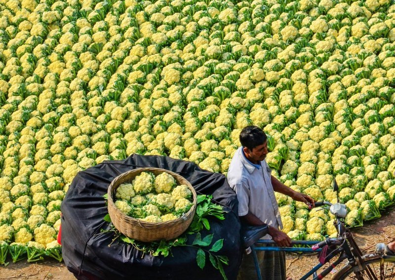 Volite karfiol? Bangladeška tržnica idealna je za vas!