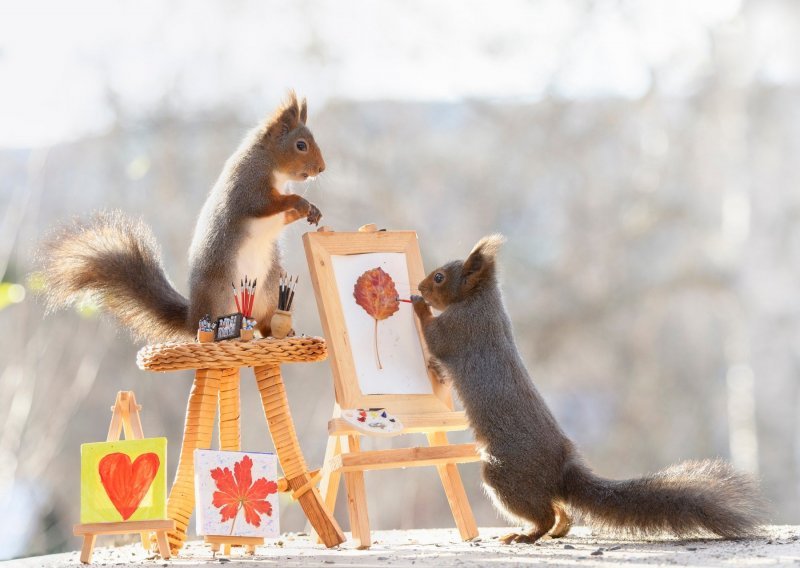 Ove vjeverice imaju novi hobi – slikarstvo!