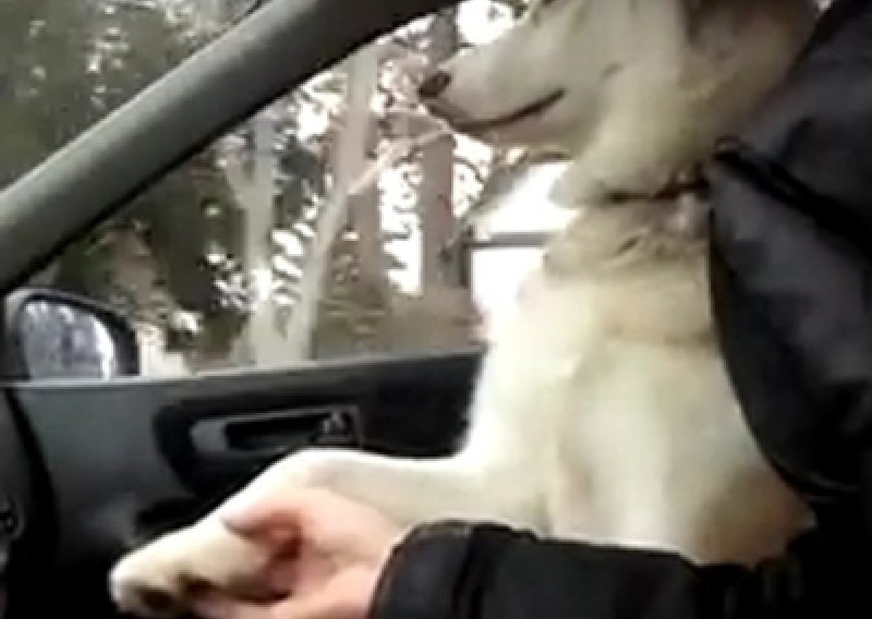 Daj ruku, inače se ne vozim s tobom!