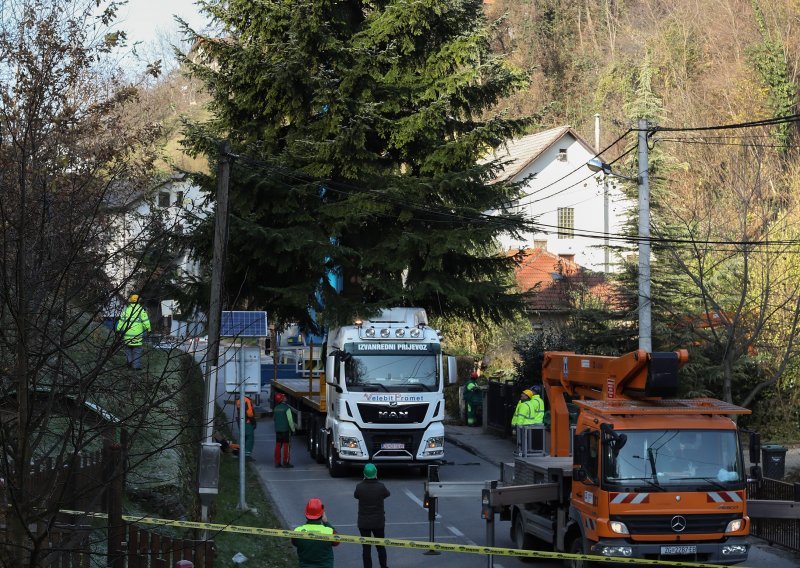 Ovo je 20-metarski bor koji će krasiti glavni zagrebački trg! Iz svog dvorišta gradu ga je poklonio jedan Zagrepčanin