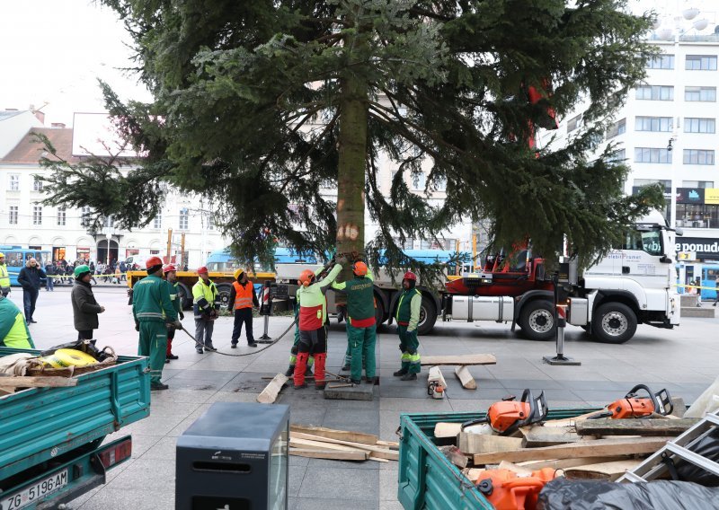 Prekrasni 20-metarski bor koji krasi glavni zagrebački trg uskoro će se naći - na sudu!