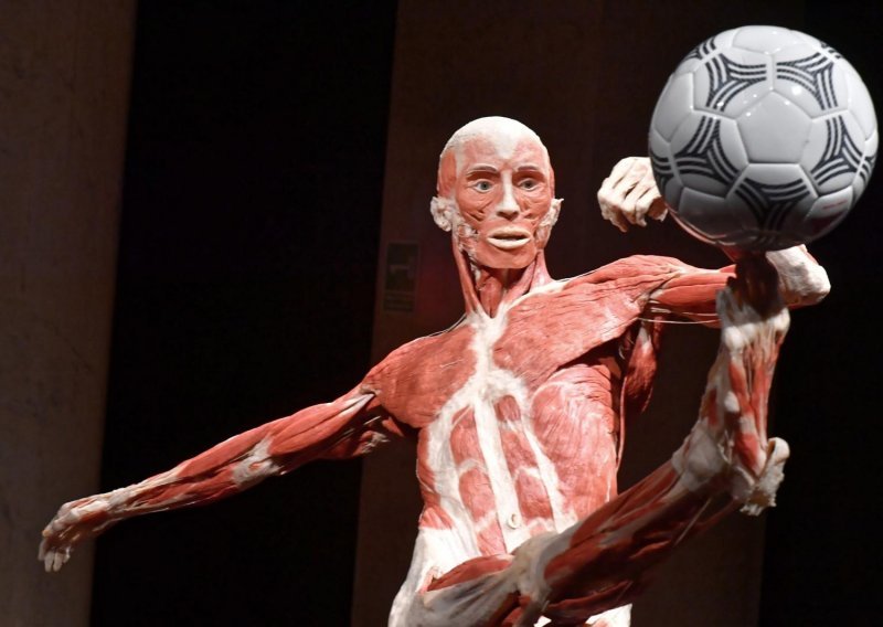 Bizarna izložba plastificiranih tijela će vas šokirati, ali i oduševiti