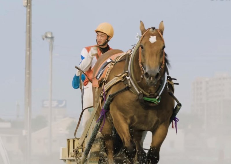Ovo su najsporije konjske utrke na svijetu