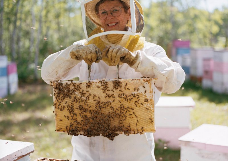 Hrvatska dobila registar pčelinjaka, paša i pčelara