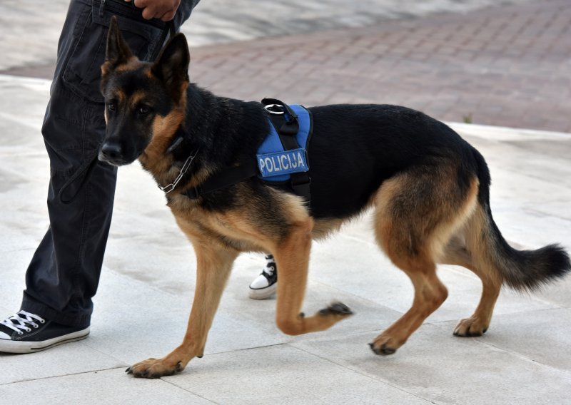 Policijski pas Duks nanjušio kilogram heroina