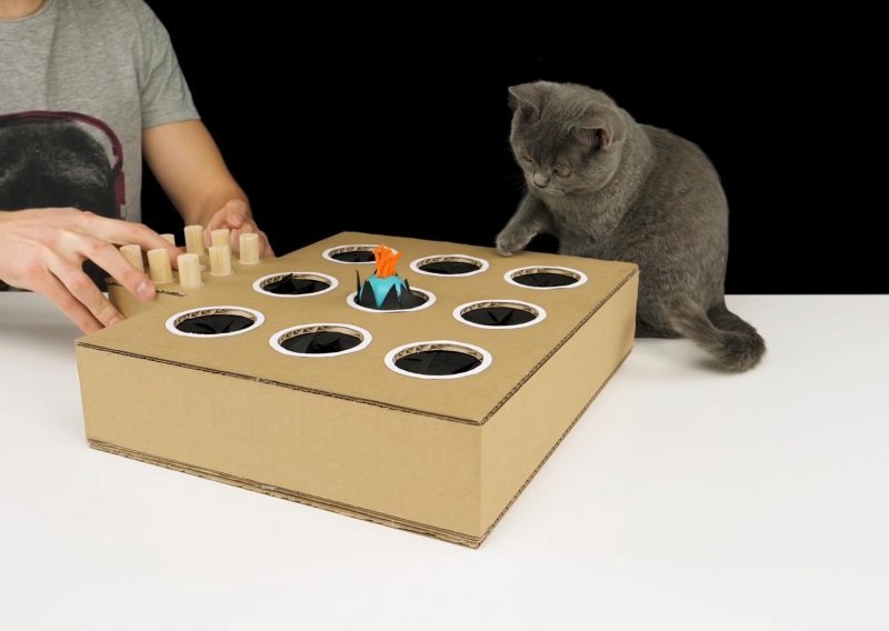 Naučite kako napraviti savršenu igračku za svoju mačku