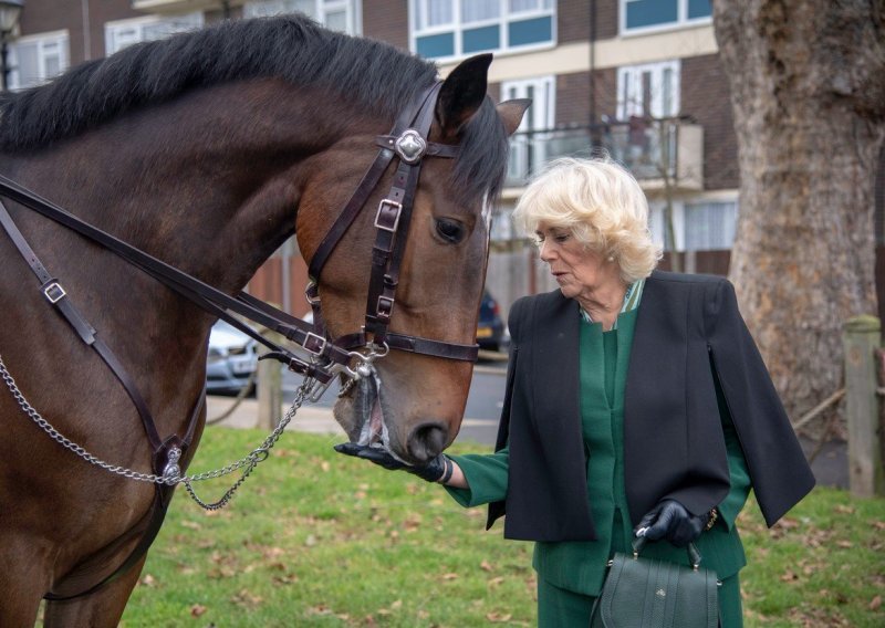 Je li Camilla, nakon gotovo 20 godina, napokon dobila naklonost javnosti i postala omiljena princeza?