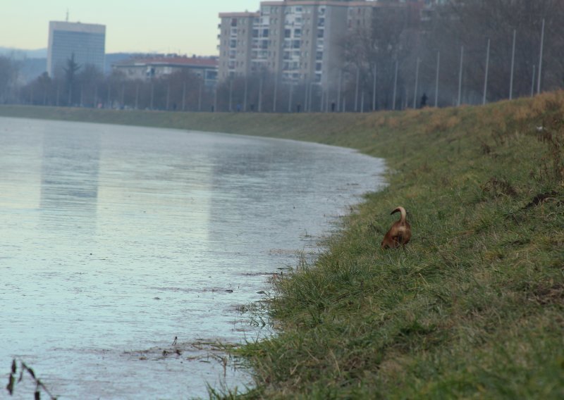 Sava u Zagrebu od sinoć pala za metar i pol; evo gdje vodostaji još uvijek rastu