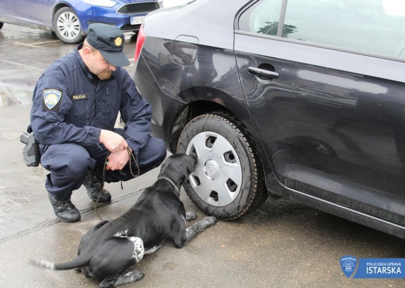 Duks u podrumu nanjušio više od pola kilograma marihuane