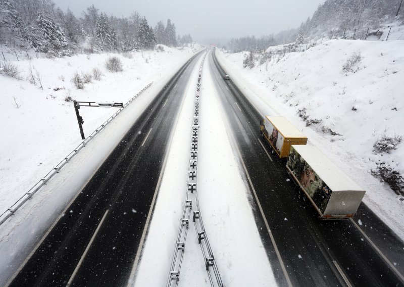 HAK upozorava: Na autocesti A1 uočen vuk!