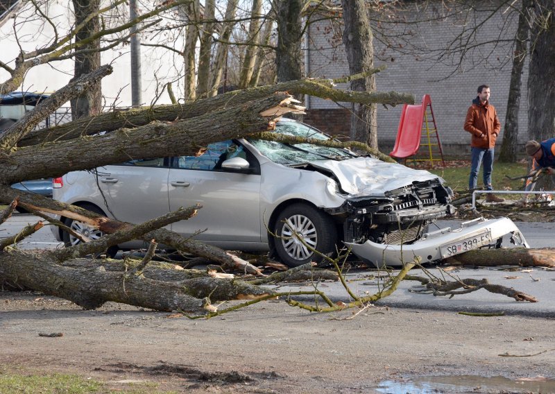 Stablo kestena palo na auto u pokretu u Trnjanima