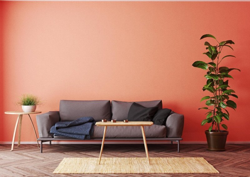 Kako odabrati idealnu boju za zidove u životnom prostoru