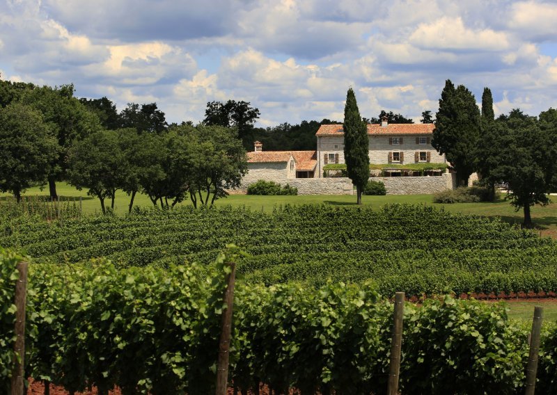 Predstavljena vina Meneghetti i Kuća Glavić iz berbe 2013.