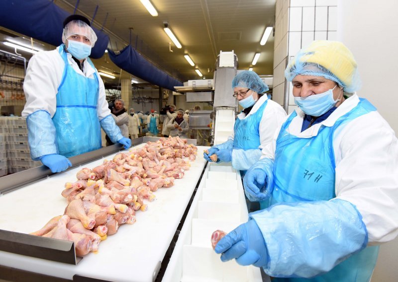 MPH-u zeleno svjetlo za kupnju Perutnine Ptuj