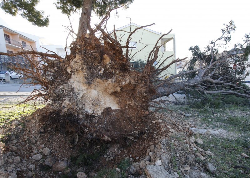 Orkanska bura poharala Dalmaciju, pogledajte razmjere katastrofe koja je pogodila Makarsku