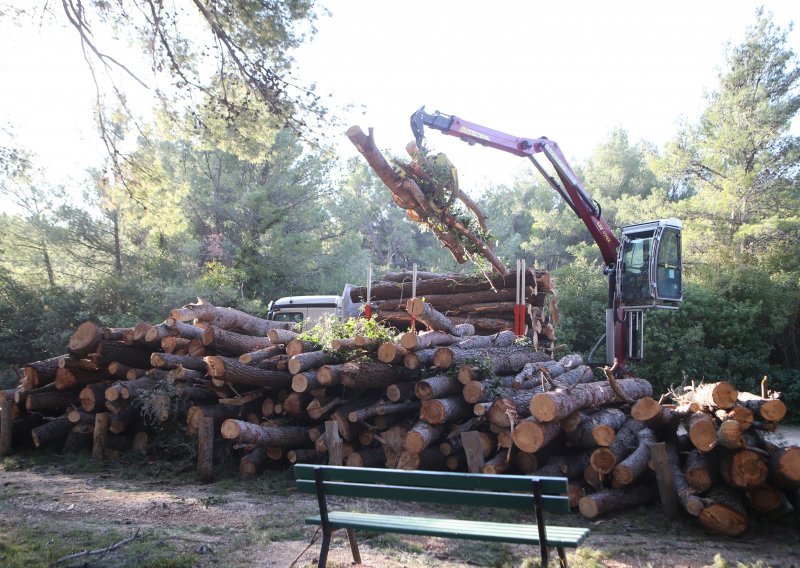 Počela sanacija splitskog Marjana, pošumljavanje na jesen