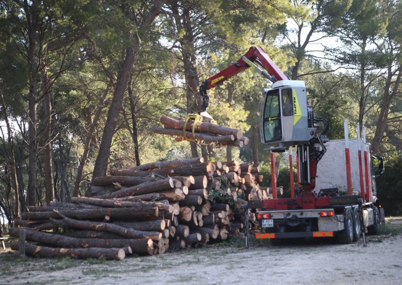 Podnesene četiri kaznene prijave zbog Park šume Marjan