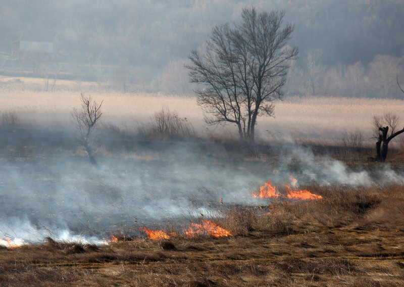 Pazite kako palite korov, u samo jednoj županiji 13 požara