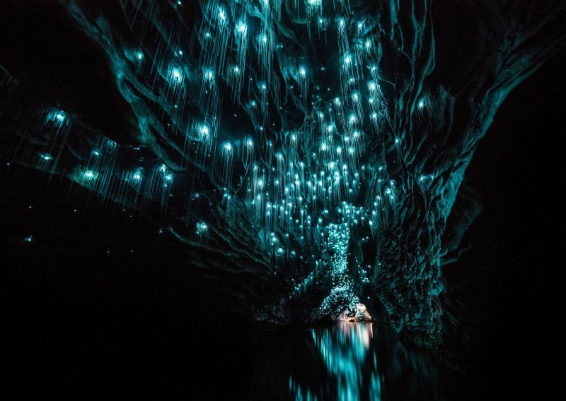 Novozelandska pećina ne treba struju – ima crve!