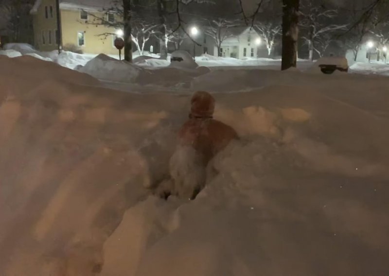 Šašavi Amerikanac bez odjeće skočio u snijeg ispred kuće