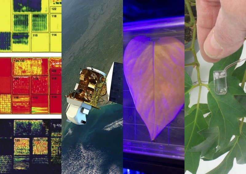 Biljke koje šalju poruke kad su žedne i druge ratarske tehnologije iz svemirskih programa