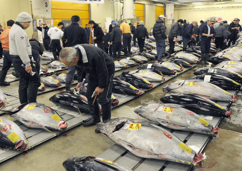 Tuna prodana za 2,2 milijuna kuna