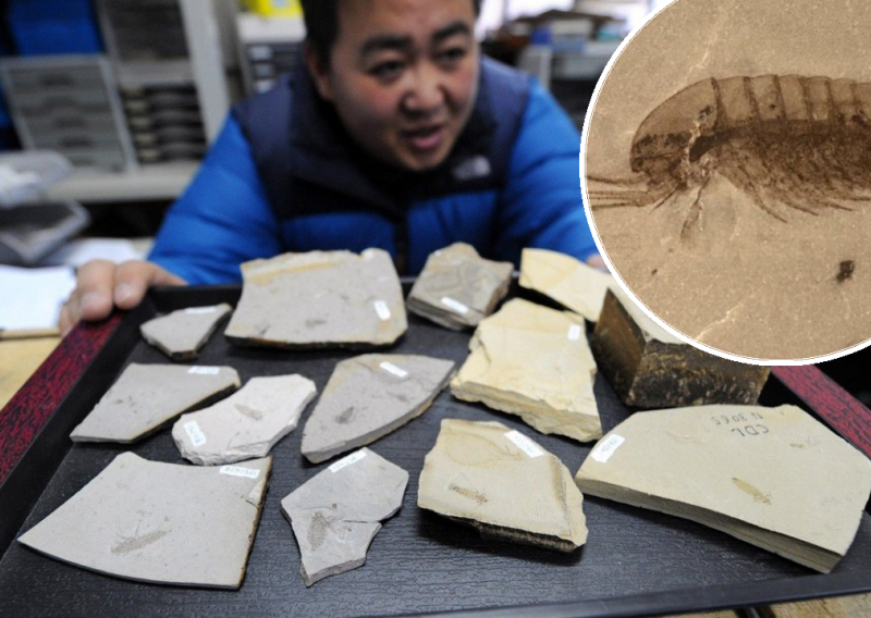 Tisuće fosila otkriveno uz obale kineske rijeke: Pronađeni i dobro očuvani crvi, meduze i alge