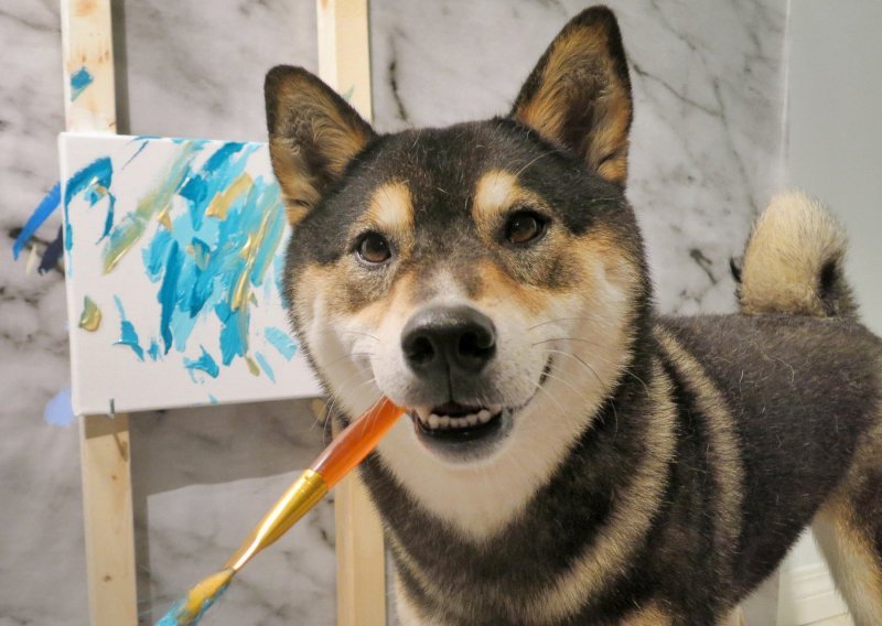 Internet obožava psa koji slika