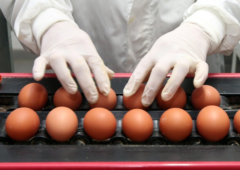 Slučaj s kontaminiranim jajima je kriminal