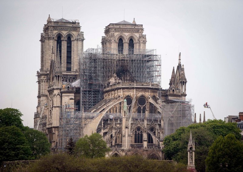 Evo kako su pčele na krovu crkve Notre-Dame preživjele požar