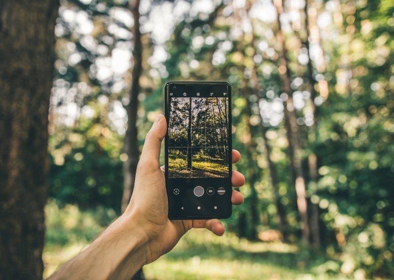 Evo zašto NASA želi da smartfon usmjerite prema krošnjama drveća