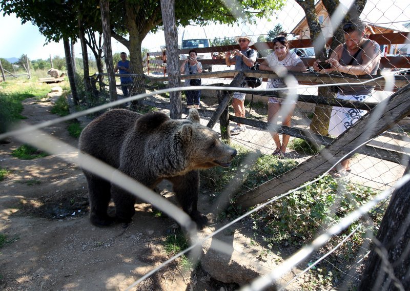 Prijatelji životinja obrušili se na Macolu: Treba mu oduzeti medvjede