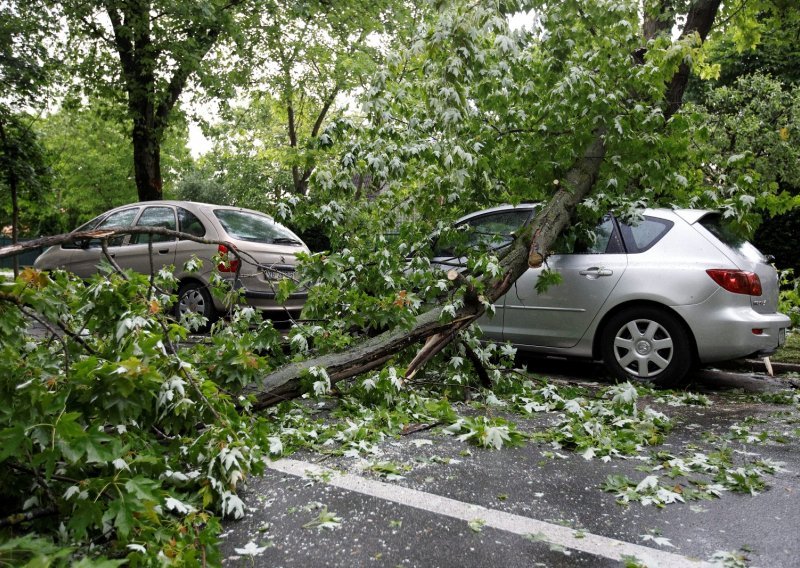 Stablo je palo na vaš automobil i oštetilo ga? Provjerili smo što vam je činiti