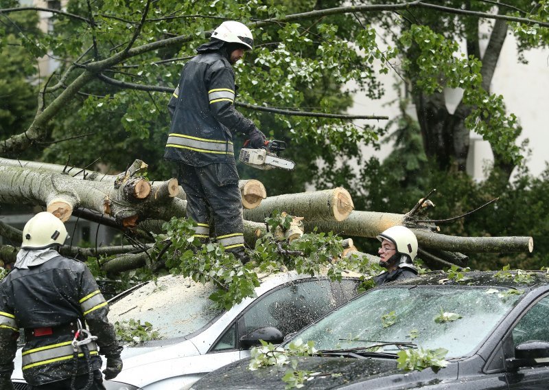 [FOTO] U Sopotu stabla uništila nekoliko automobila