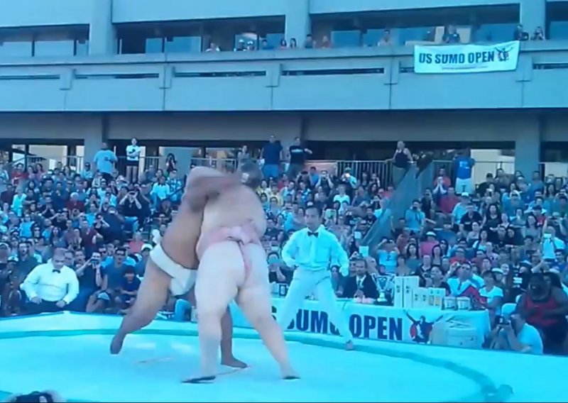 Ludo sumo bacanje koje morate pogledati!