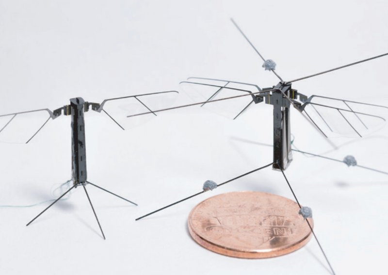 Ovaj sićušni robotski insekt leti poput pravog