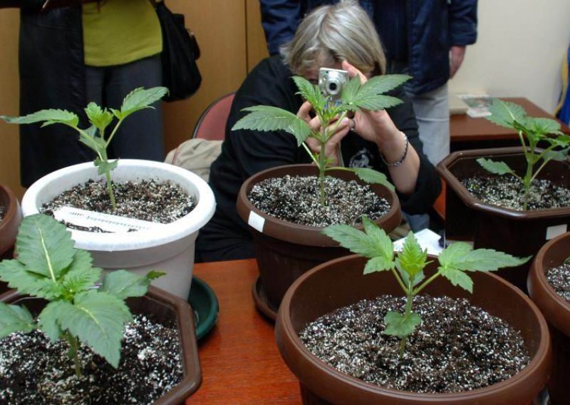 U središtu Zagreba otkriven laboratorij za uzgoj marihuane
