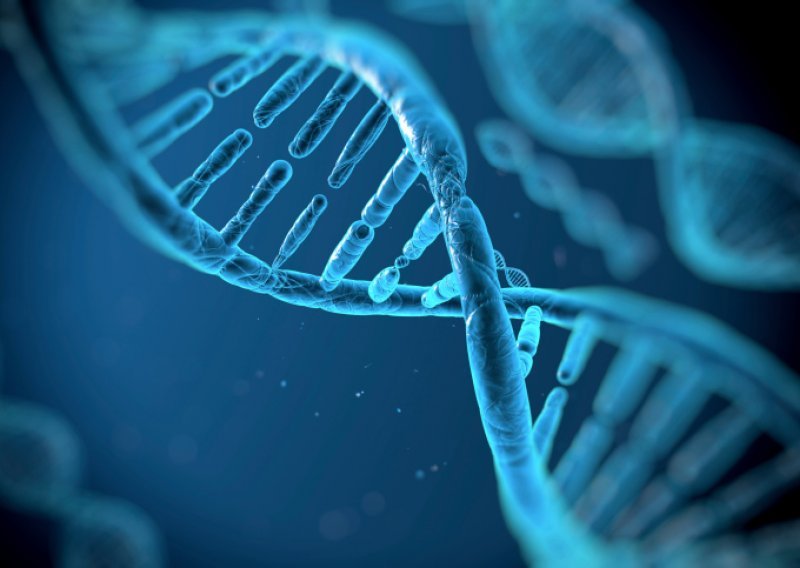 Otkriveni geni čije brisanje produžava život 60 posto