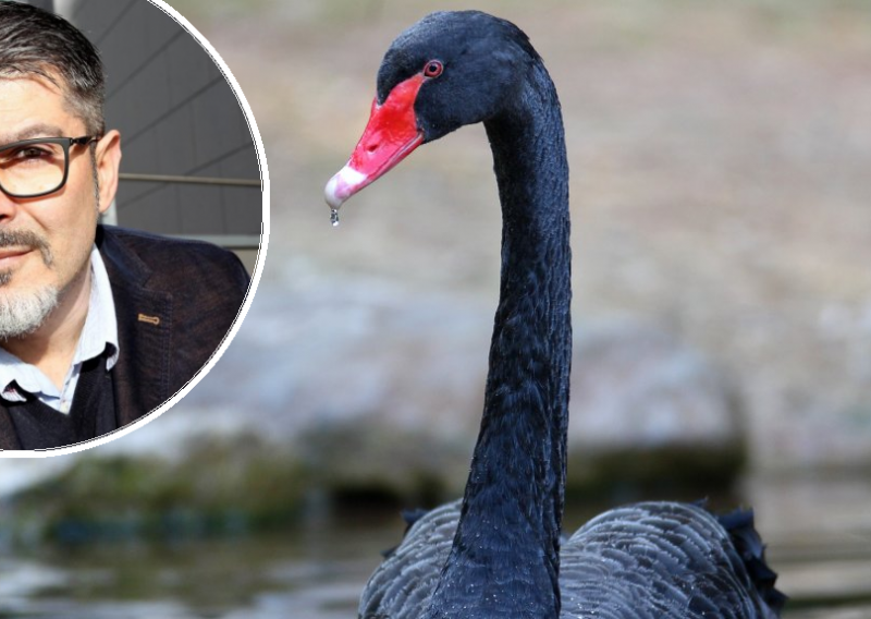 Kopal objasnio 'crnog labuda': Što ne znamo da ne znamo?