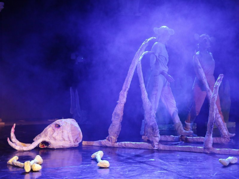 Predstava Kralj lavova u sklopu Međunarodnog dječjeg festivala